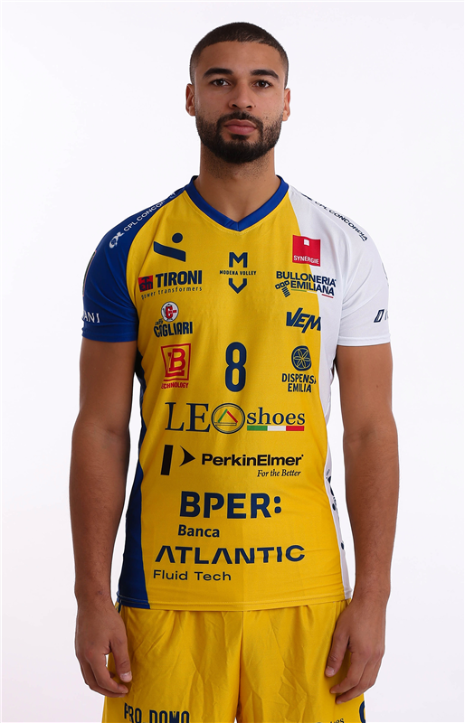 NGAPETH Swan