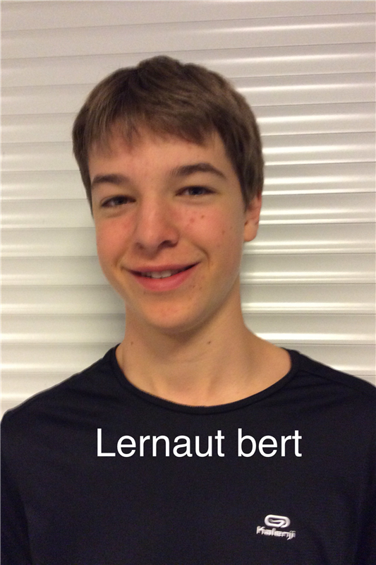 LERNOUT Bert