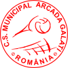 C.S.M. Arcada GALATI icon