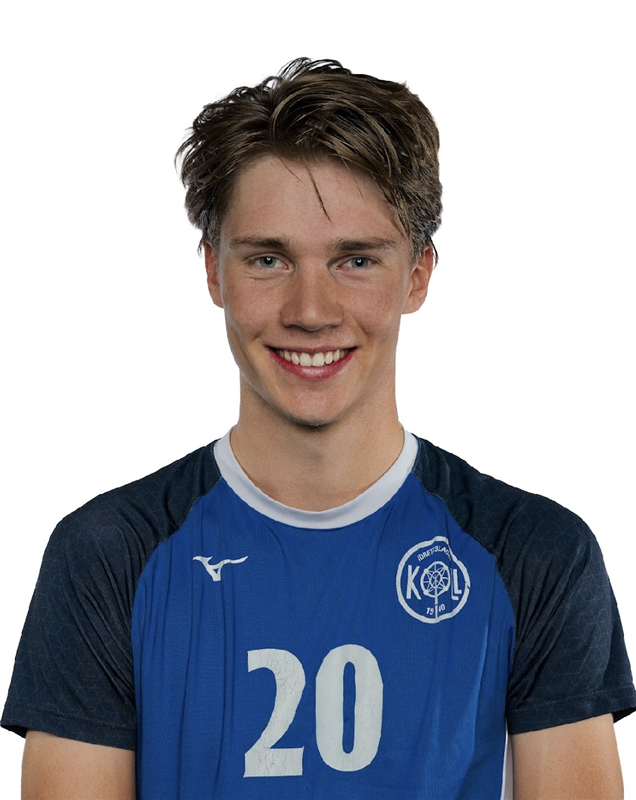 SANDVIK Johannes Liaaen