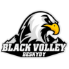 Logo for Blue Volley OSTRAVA