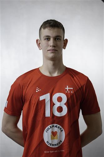 DENHOLT Nikolai Stilling