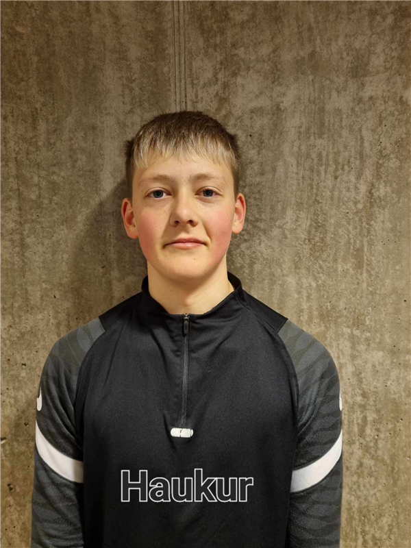 HEIMISSON Haukur Eron