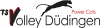Logo for TS Volley DÜDINGEN