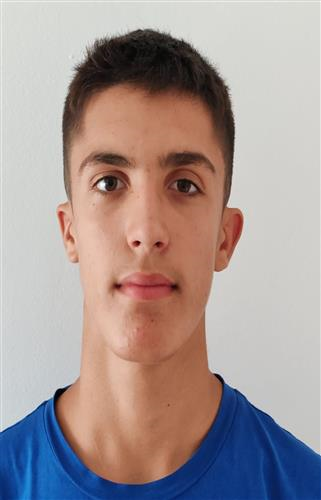 MEDVIDOVIĆ Mateo