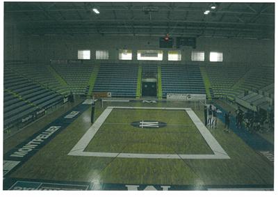 Internal Image