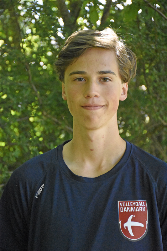 CORNELIUS Gustav Plesner