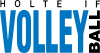 Logo for HOLTE IF
