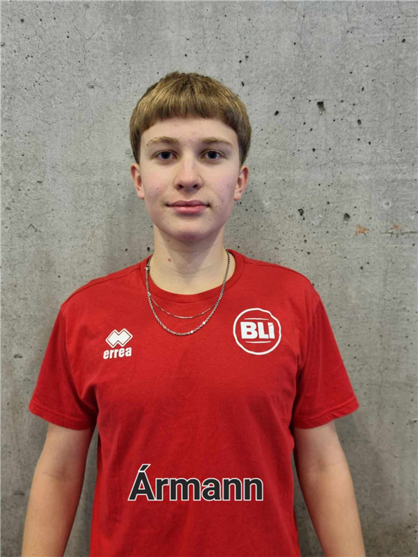 HEIMISSON Ármann Snær