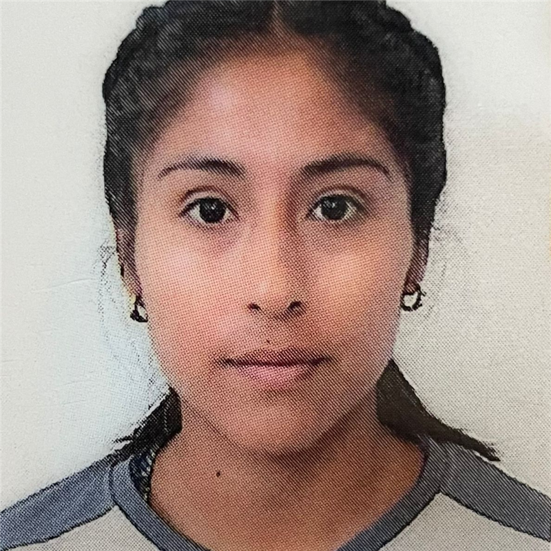 ALLCCA MERINO Lisbeth