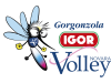 Logo for Igor Gorgonzola NOVARA