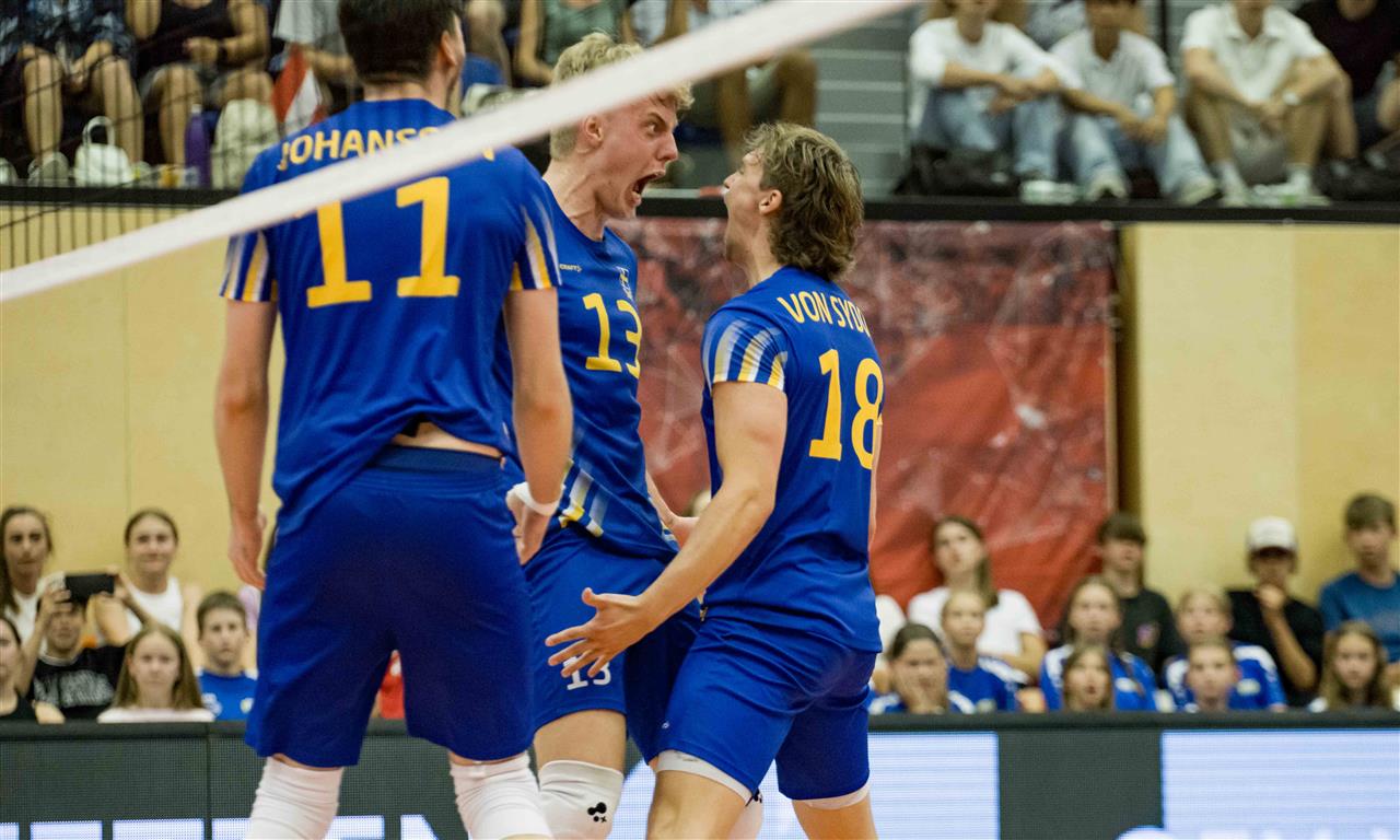 Swedish players celebrate their 3-1 victory over Austria